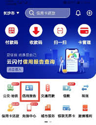 手机上如何查个人征信中心官网-手机上怎样查询个人征信中心官网
