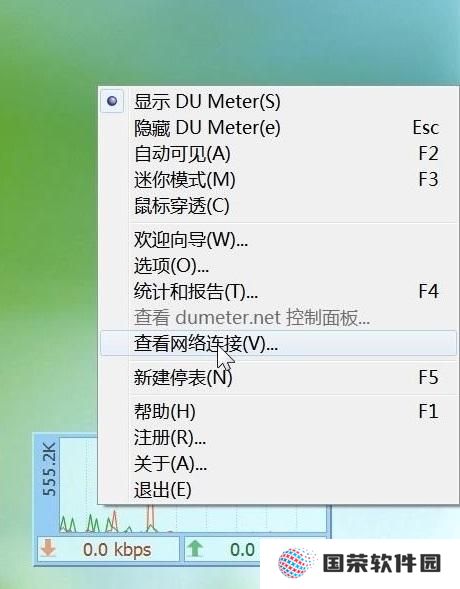 DU Meter网络流量监视器纯净版