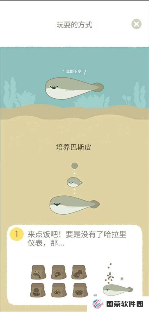 萨卡班甲鱼
