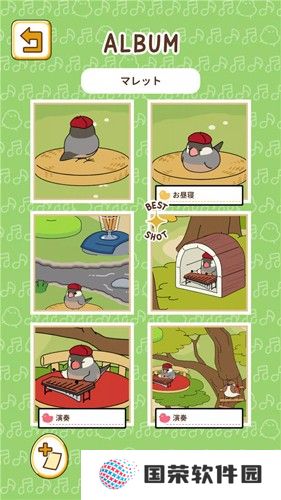 鸟之音