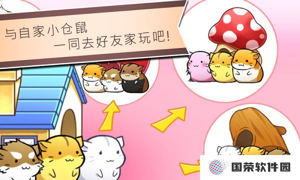 仓鼠的日常