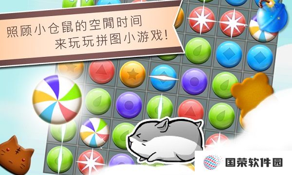 仓鼠的日常