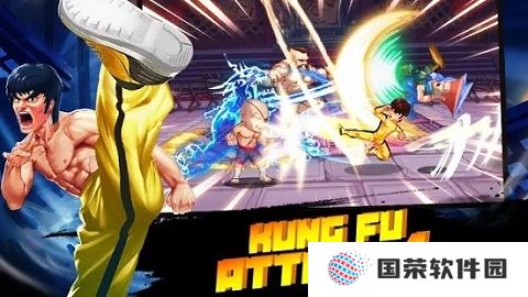 功夫激战4