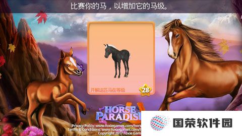 马儿天堂