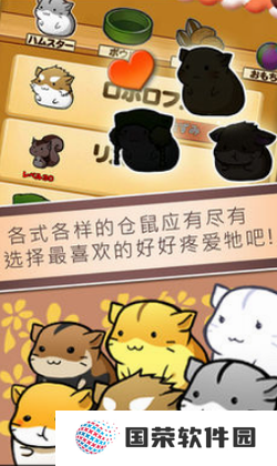 仓鼠的生活