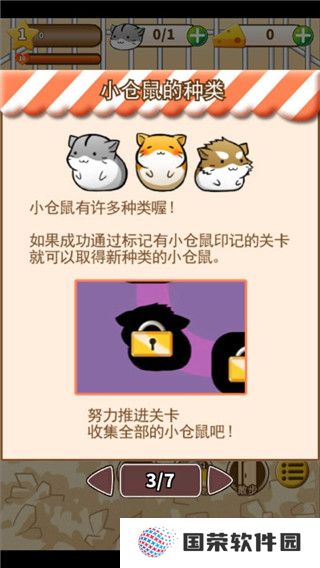 仓鼠的生活