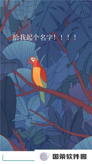 孤独的鸟