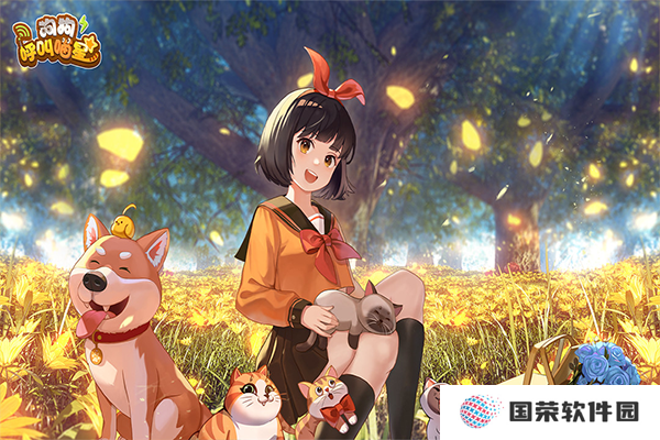 狗狗呼叫喵星